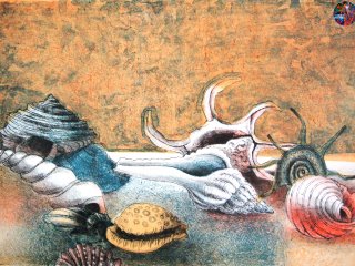 028 - Tante Conchiglie (A lot of Shells) - 50x70 - Litografia (Lithography)
